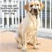 No Pull Dog Halter Training Tool - Soft Upholstery - XL Black - Includes Training Instructions - Buy Online on GoSupps.com