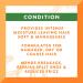 Cantu Shea Butter Leave-In Conditioning Repair Cream 16 oz - Pack of 2 - Buy Online on GoSupps.com