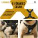 Oneigris Dog Harness & Leash Set | Mini Trooper Puppy Dishes for Extra Small to Medium Dogs - Black XS - Buy Online on GoSupps.com
