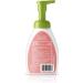 Babyganics Kids Foaming Hand Sanitizer Alcohol-Free Cupcake Scent 8.45oz - Pack of 3 | Kills 99.9% of Bacteria - Buy Online on GoSupps.com