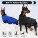 Kuoser Winter Dog Coat | Warm Reflective Jacket for Small Dogs | Black & Gray | Ideal for Cold Weather - Buy Online on GoSupps.com