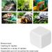 Calcium for Snails Aquarium Calcium Stone Can Be Dissolved in Water for Drinking for Daily for Turtles for Reptiles for Terrestrial Animals - Buy Online on GoSupps.com