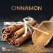 SensLAB Cinnamon Essential Oil - 100% Pure Therapeutic Grade Extract for Diffusers - Outdoor Protection, Mood Enhancement, and Stress Relief - 10ml - Buy Online on GoSupps.com
