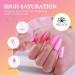 NKOOE 20-Piece Acrylic Nail Powder Set - Professional Quality Colors - Buy Online on GoSupps.com