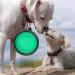 Buy Moacc 2-Piece Foldable Silicone Dog Bowl Set - Travel-Friendly Water & Feed Bowls for Dogs & Cats (1000ml) - Light Blue & Light Green - Buy Online on GoSupps.com