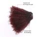 Loxxy Afro Kinkys Curly Hair Extensions Clip In - 10 Inch 4B 4C Natural Hair Clip Ins - Virgin Brazilian Human Hair for Black Women - Red Brown Ombre 1B/99J - Buy Online on GoSupps.com
