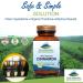 Pure Mountain Botanicals Cinnamon Capsules - 1000mg Organic Cassia Cinnamon Bark Supplement (Kosher Vegan) - Buy Online on GoSupps.com
