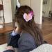 7Pcs Butterfly Orchid Hair Clip Cute Sweet Colorful Hawaiian Flower Hair Clips for Women Girls Tropical Flower Hair Clips with Pearl for Wedding Summer Beach Party Hawaiian Flower Hair Clips Flower - Buy Online on GoSupps.com