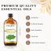 EUQEE Lemongrass Essential Oil 118ml - Pure Natural Aromatherapy Oil for Diffusers - Relaxing Home Humidifier Scent - Buy Online on GoSupps.com