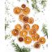 Dried Oranges - Premium Dehydrated Cocktail Garnishes - 20 Servings (70g Approx) - Buy Online on GoSupps.com