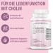 VIHADO Liver Complex Plus - High-Dose Silymarin 80% | Artichoke Dandelion & Turmeric | 120 Caps for Liver Health - Buy Online on GoSupps.com