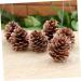 ABOOFAN 72 Pcs Xmas Pine Cone Ornaments Christmas Pine Cone Pine Cone Decorations Pine Needles Natural - Buy Online on GoSupps.com