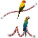 Jusney Bird Rope Perch Toy - Comfy Bungee Parrot Toy 33 inches (1 Pack) - Buy Online on GoSupps.com