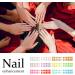 PTILSERY 1Box French Press on Nails Set Nails Art Craft Manicure Elegant Nail Decorations for Girls and Women - Buy Online on GoSupps.com