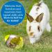 Meric Rabbit IQ Treat Ball - Interactive Slow Feeder Toy for Mental & Physical Exercise - Green - Buy Online on GoSupps.com
