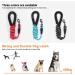 DOKI 5.3FT Black Dog Lead | Soft Padded Handle | Highly Reflective Leash for Small, Medium, and Large Dogs - Buy Online on GoSupps.com