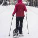 Yukon Charlie's Carbon Lite Flip Out Trekking Poles with Fast Lock Adjustment System - Includes Trekking and Snow Baskets - Buy Online on GoSupps.com