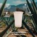 Sustainable Agave Co - Agave Fiber Cups - Plastic-Free Biodegradable Compostable Plant-Based - Clear 12 Ounce - 100 Count - Buy Online on GoSupps.com