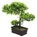 TOPBATHY Welcome Song Japanese Pine Bonsai Home Desk Fake Pine Fake Bonsai Fake Tree Pot Ornaments Guest-greeting Pine Bonsai Decor Plant Office Fake Pine Plastic Desktop Potted Tree As Shown 2 33X26CM