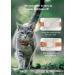 Buy Airtag Cat Collar - Reflective Kitten Neck Band | Light Tracker with Bell for Young Cats - Orange - Buy Online on GoSupps.com
