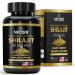 Organic Shilajit with Fulvic Acid Humic Acid 85+ Minerals- Gold Grade Plus - Same as Resin - Energy Stamina Brain Support - 20 000mg 120 Capsules - Made in The USA