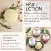Organic Hard Lotion Bar - Plastic Free Moisturizer | Beeswax & Plant-Based | Orange Cream Scent - Buy Online on GoSupps.com