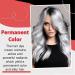 Buy Silver Gray Natural Hair Dye Cream - Fashion Permanent Light Gray Silver Color - Unisex 3.52oz - Best for All Hair Types - Buy Online on GoSupps.com
