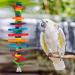 MEWTOGO 2Pcs Bird Toys - Multicolored Natural Wooden Blocks and Chewing Sticks for Parrots and Birds - Buy Online on GoSupps.com
