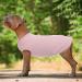 Buy Hjumarayan Thin Washable Dog Sweater for Medium-Sized Dogs - Striped Fleece Shirt for Corgis & Dachshunds - Elastic Fit Stylish Pink (Large) - Buy Online on GoSupps.com