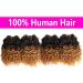Ombre Brown Curly Human Hair Bundles 8 Inch, 12A Brazilian Virgin Kinky Curly Weave Bundles, Pack of 4 for Women - Buy Online on GoSupps.com