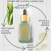 Clear Skin Anti-Breakout Tea Tree Serum with Vitamin C & Salicylic Acid - Blemish-Free Youthful Skin | 1.02 Fl. Oz - Buy Online on GoSupps.com