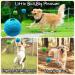 Feixun Dog Treat Toy Ball Dog Rubber Food Ball Interactive Dog Toy Pack of 2(1*Blue+1*Green) 8.1cm - Buy Online on GoSupps.com