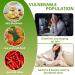 Helicobacter Pylori Stool Test Kit | Quick & Accurate Home Testing (2 Tests) - H. Pylori Antigen - Buy Online on GoSupps.com