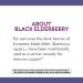 Nature's Way Sambucus Sugar-Free Elderberry Syrup 4 Oz - Immune Support Formula - Buy Online on GoSupps.com