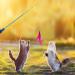 Shop Ukofew 12-Piece Cat Fishing Toys with Springs & Feathers Interactive Fun for Cats of All Sizes | International Shipping Available - Buy Online on GoSupps.com