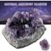 30-80g Natural Amethyst Cluster Quartz Crystal Healing Decoration Stone S5G0 Ornament Decoration Crystals AME Crafts Cluster - Buy Online on GoSupps.com