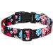 Suredoo Adjustable Nylon Dog Collar for Small & Medium Dogs | Soft & Comfortable | Floral Pink Blue (Neck 38-63 cm Width 2.5 cm) - Buy Online on GoSupps.com
