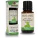 Nature’s Answer USDA Organic Patchouli Essential Oil, 100% Pure | Natural Aromatherapy Oil for Diffuser/Humidifier, Steam Distilled 0.5 fl oz. (15ml) | Made in USA