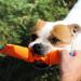 High-Quality Handmade Bull Fit Dog Tug Toy - 30 cm Robust K9 Training Tool with Two Loops - Durable Fire Hose Material in Orange - Buy Online on GoSupps.com