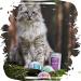 Buy Venandi Animal Premium Grain-Free Cat Food - Monoprotein Sheep Wet Food (12 x 125g) - Natural & Healthy for Your Cat - Buy Online on GoSupps.com