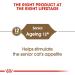 ROYAL CANIN Ageing 12+ Cat Food 2 kg 2 kg (Pack of 1) - Buy Online on GoSupps.com