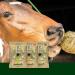 M hldorfer HeuGaudi Apple - 1kg | 100% Natural Snacking Fun | Exclusive Hanging Rope - Buy Internationally! - Buy Online on GoSupps.com
