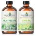 EVOKE OCCU Tea Tree Essential Oil and Lime Essential Oil - 4 Fl Oz