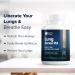 Herbal Tea Therapy Lung Renew PM Night-Time Respiratory Lung Health Mullein Leaf Blend (60 Caps): Peppermint Thyme & Mullein Lung Detox for Smokers & Restful Sleep - GMO-Free & Made in USA - Buy Online on GoSupps.com