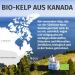 IODINE from Kelp - 365 Vegan Capsules (200 mcg) | German Quality Additive-Free 1 Year Supply - Shop Now! - Buy Online on GoSupps.com