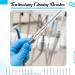 TrelaCo 100 Pcs Tracheostomy Cleaning Brushes - Nylon Bristle Trach Brush for Pipe & Tube Cleaning | Tracheostomy Supplies 10mm - Buy Online on GoSupps.com