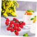 Ciieeo 2pcs String Simulated Cherry Tomatoes Fake Tomatoes Fruits Faux Cherry Tomatoes Ornament Plant Decorations Kid Toy Home Ornament Vegetable Pvc Child Red Small Tomatoes Redx2pcs 18X16CMx2pcs - Buy Online on GoSupps.com