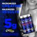 ALLMAX Naturals ISONATURAL Whey Protein Isolate (2 Pound) + ALLMAX Creatine Monohydrate (400g) - Buy Online on GoSupps.com