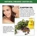 Jamaican Black Castor Oil - 100% Pure Organic Cold Pressed for Hair & Skin Care (4.04 fl oz) - Stimulate Growth for Hair Eyelashes & Eyebrows - Buy Online on GoSupps.com