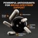 Immune Support Vitamins - Elderberry, Zinc, Vitamin C for Adults - Sambucus Black Elderberry Capsules with Echinacea - 10-in-1 Immune Defense - Buy Online on GoSupps.com